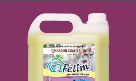 Limpador com Brilho FELIM Limpador com Brilho FELIM